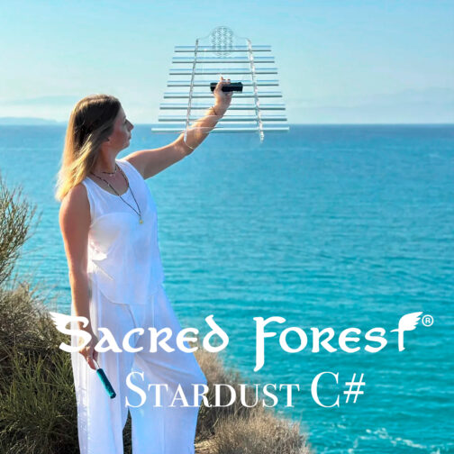 Natalia, a sound healer, holds the Stardust C# Crystal Harp against the backdrop of a vast, tranquil sea, capturing the harmony between sound and nature.