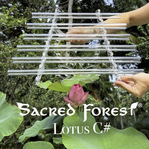 Lotus – Crystal Harp – Angel Love